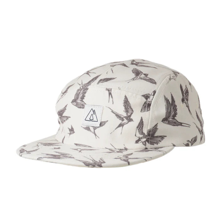 Taylor 5 - Cap